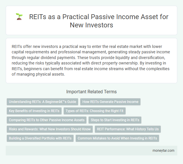 REITs as a Practical Passive Income Asset for New Investors