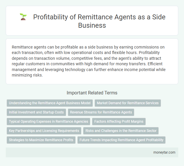 Profitability of Remittance Agents as a Side Business