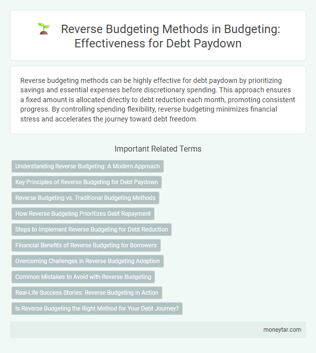 Reverse Budgeting Methods in Budgeting: Effectiveness for Debt Paydown