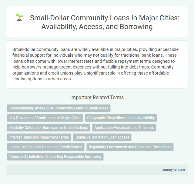 Small-Dollar Community Loans in Major Cities: Availability, Access, and Borrowing