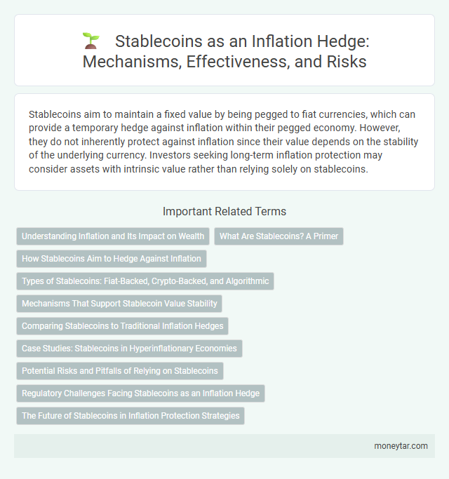 Stablecoins as an Inflation Hedge: Mechanisms, Effectiveness, and Risks