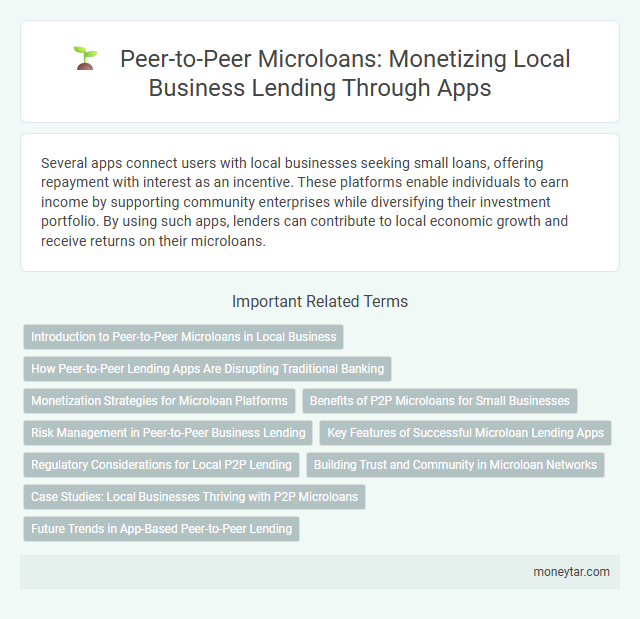 Peer-to-Peer Microloans: Monetizing Local Business Lending Through Apps