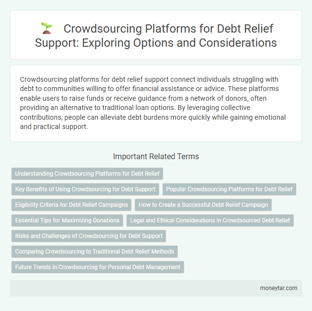 Crowdsourcing Platforms for Debt Relief Support: Exploring Options and Considerations