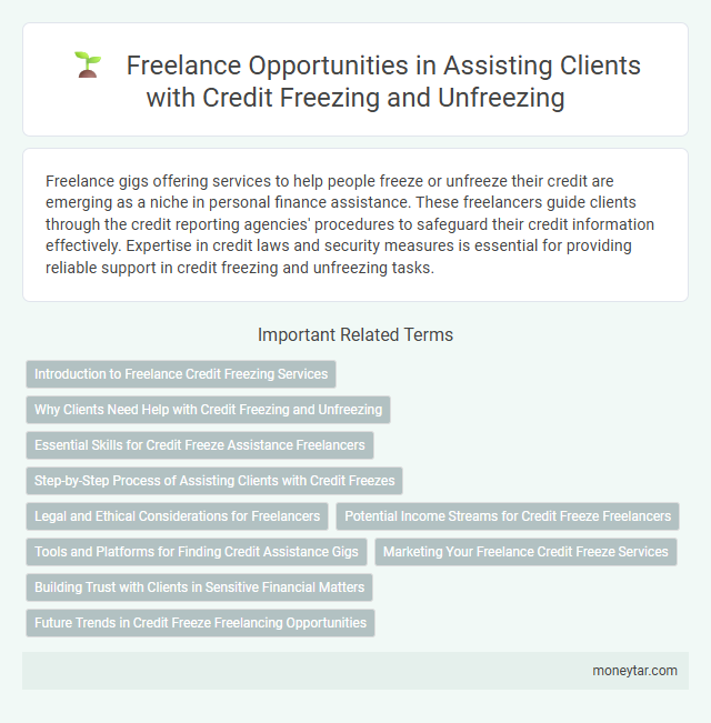 Freelance Opportunities in Assisting Clients with Credit Freezing and Unfreezing