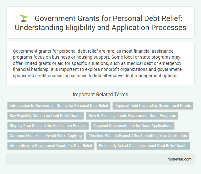 Government Grants for Personal Debt Relief: Understanding Eligibility and Application Processes