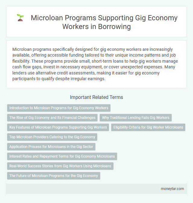 Microloan Programs Supporting Gig Economy Workers in Borrowing