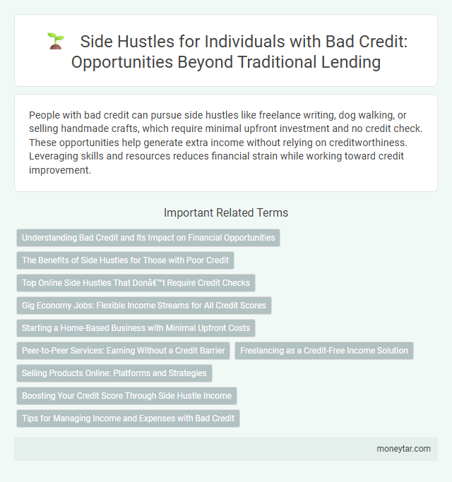 Side Hustles for Individuals with Bad Credit: Opportunities Beyond Traditional Lending