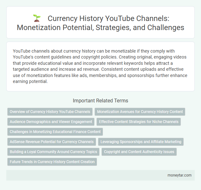 Currency History YouTube Channels: Monetization Potential, Strategies, and Challenges