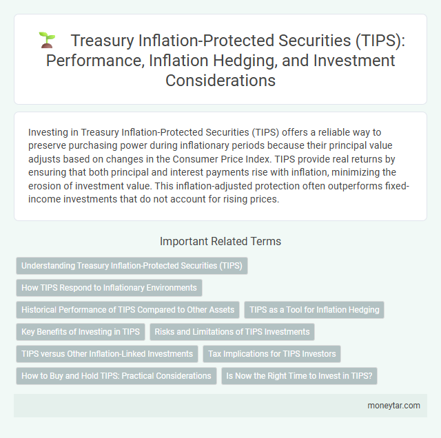 Treasury Inflation-Protected Securities (TIPS): Performance, Inflation Hedging, and Investment Considerations