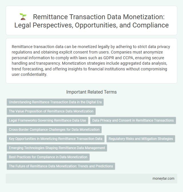 Remittance Transaction Data Monetization: Legal Perspectives, Opportunities, and Compliance