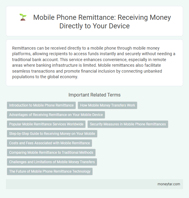 Mobile Phone Remittance: Receiving Money Directly to Your Device