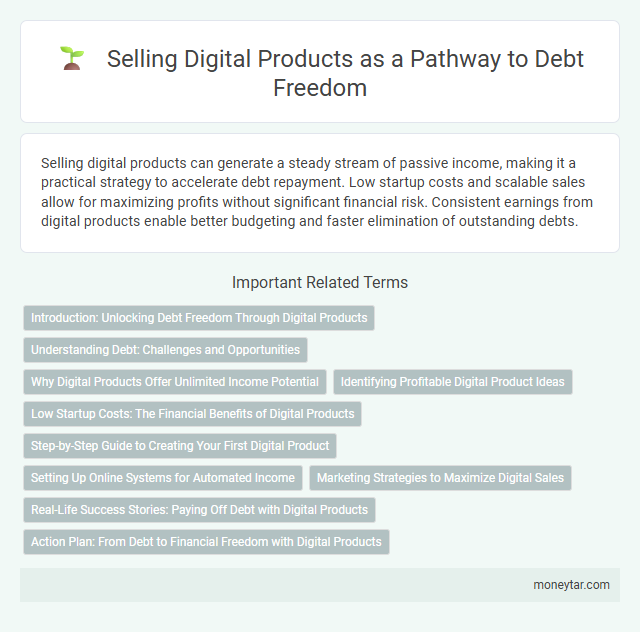Selling Digital Products as a Pathway to Debt Freedom