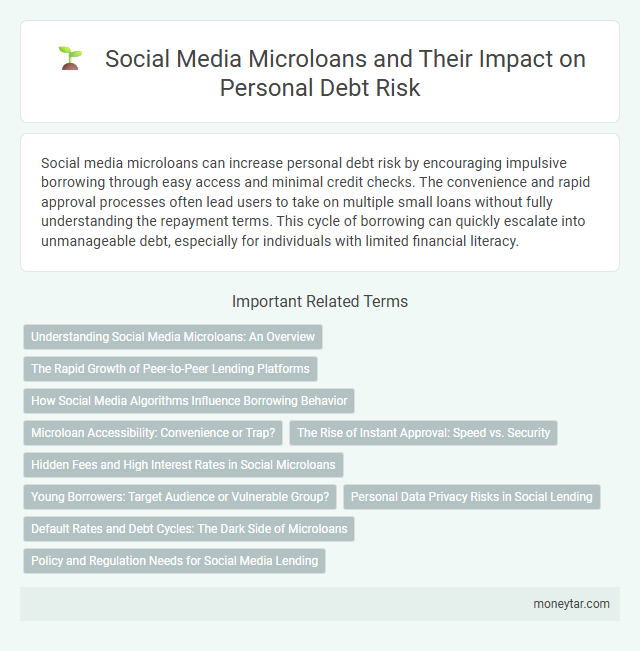 Social Media Microloans and Their Impact on Personal Debt Risk