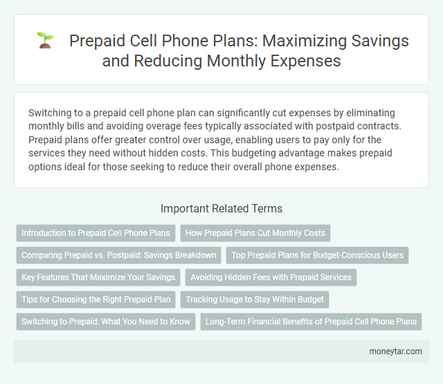 Prepaid Cell Phone Plans: Maximizing Savings and Reducing Monthly Expenses