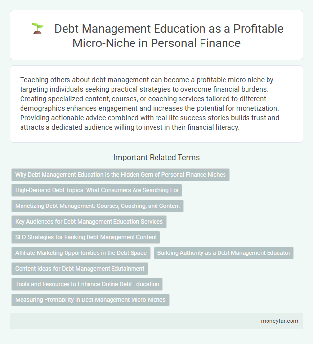 Debt Management Education as a Profitable Micro-Niche in Personal Finance