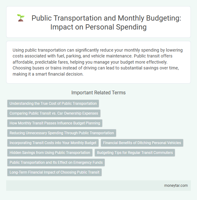 Public Transportation and Monthly Budgeting: Impact on Personal Spending