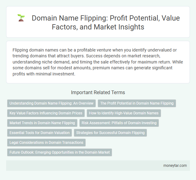Domain Name Flipping: Profit Potential, Value Factors, and Market Insights