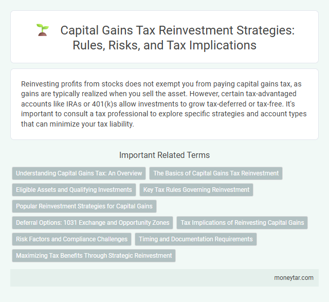 Capital Gains Tax Reinvestment Strategies: Rules, Risks, and Tax Implications