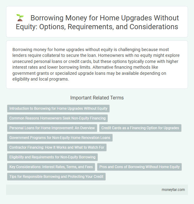 Borrowing Money for Home Upgrades Without Equity: Options, Requirements, and Considerations