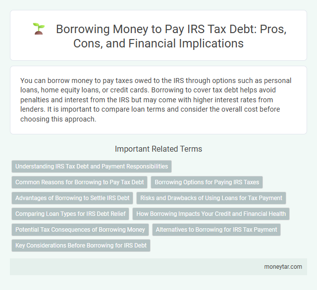Borrowing Money to Pay IRS Tax Debt: Pros, Cons, and Financial Implications