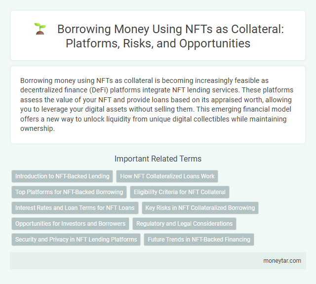 Borrowing Money Using NFTs as Collateral: Platforms, Risks, and Opportunities
