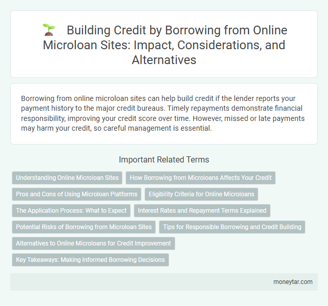 Building Credit by Borrowing from Online Microloan Sites: Impact, Considerations, and Alternatives