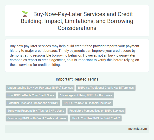 Buy-Now-Pay-Later Services and Credit Building: Impact, Limitations, and Borrowing Considerations