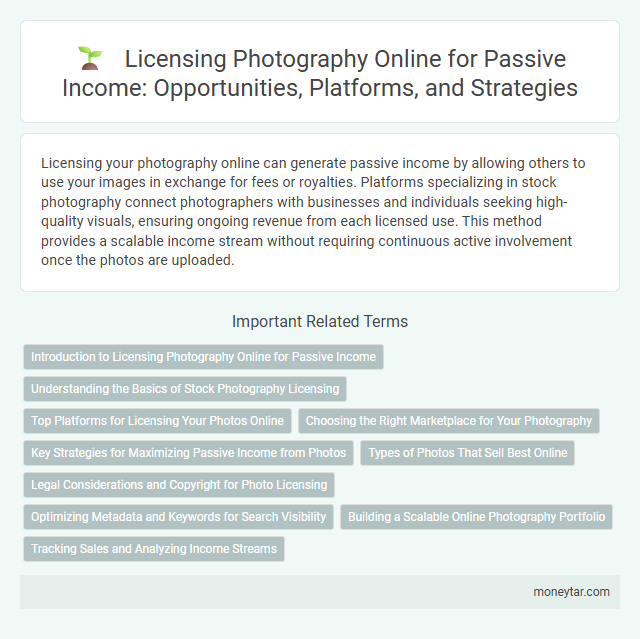 Licensing Photography Online for Passive Income: Opportunities, Platforms, and Strategies