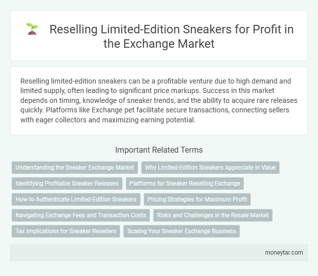Reselling Limited-Edition Sneakers for Profit in the Exchange Market