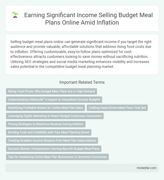 Earning Significant Income Selling Budget Meal Plans Online Amid Inflation