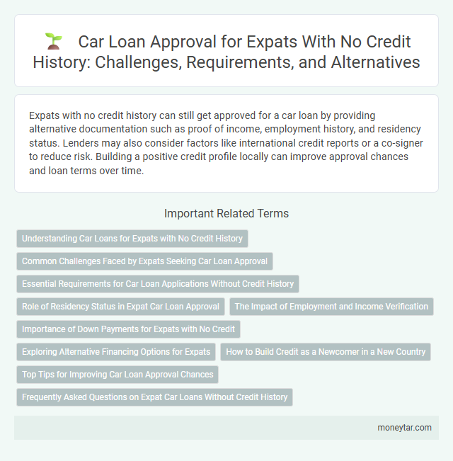 Car Loan Approval for Expats With No Credit History: Challenges, Requirements, and Alternatives