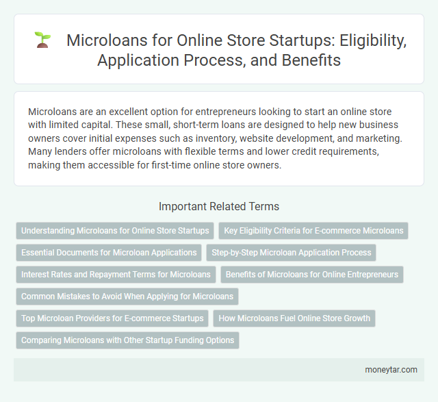 Microloans for Online Store Startups: Eligibility, Application Process, and Benefits