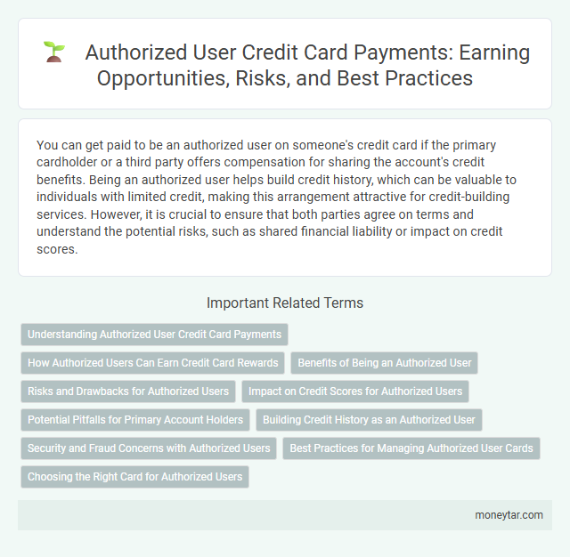 Authorized User Credit Card Payments: Earning Opportunities, Risks, and Best Practices
