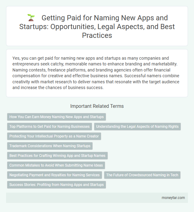 Getting Paid for Naming New Apps and Startups: Opportunities, Legal Aspects, and Best Practices