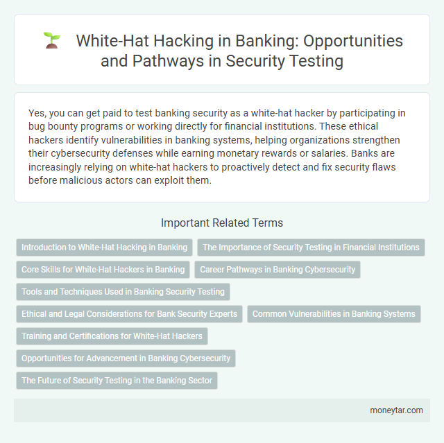 White-Hat Hacking in Banking: Opportunities and Pathways in Security Testing