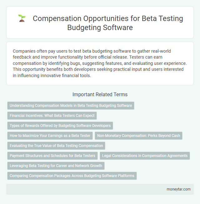 Compensation Opportunities for Beta Testing Budgeting Software