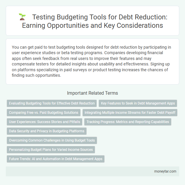 Testing Budgeting Tools for Debt Reduction: Earning Opportunities and Key Considerations