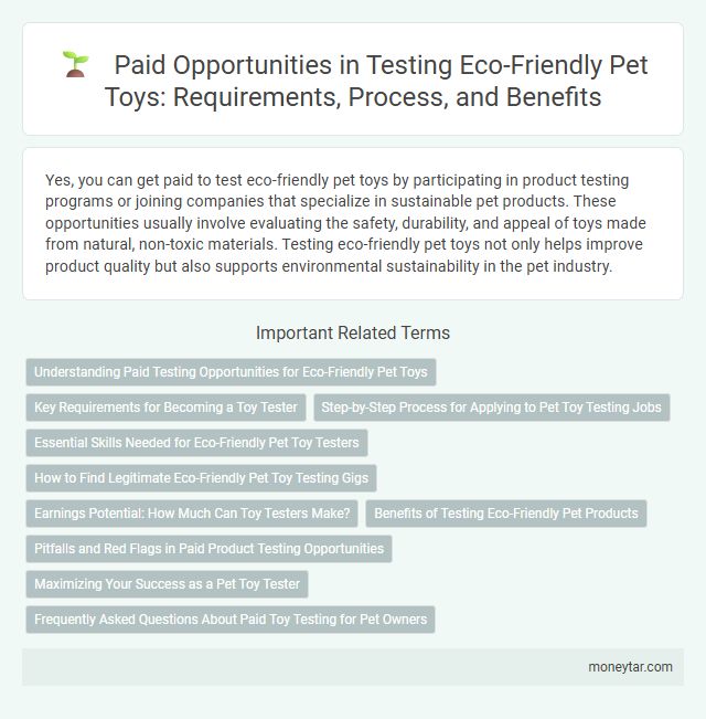 Paid Opportunities in Testing Eco-Friendly Pet Toys: Requirements, Process, and Benefits