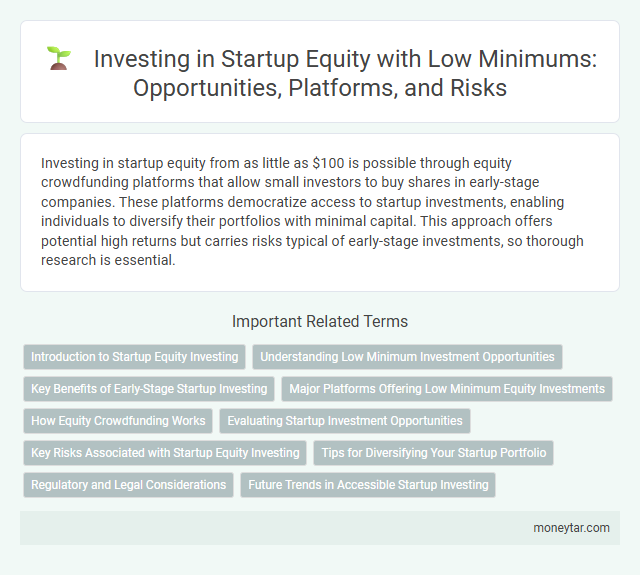 Investing in Startup Equity with Low Minimums: Opportunities, Platforms, and Risks