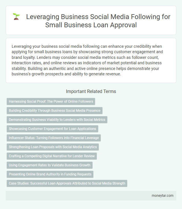Leveraging Business Social Media Following for Small Business Loan Approval