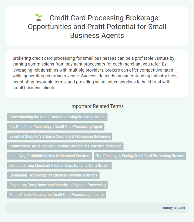 Credit Card Processing Brokerage: Opportunities and Profit Potential for Small Business Agents