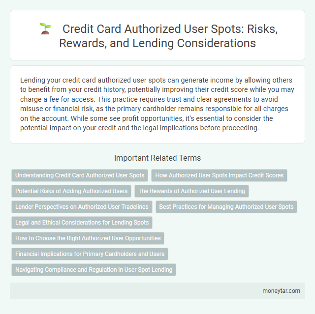 Credit Card Authorized User Spots: Risks, Rewards, and Lending Considerations
