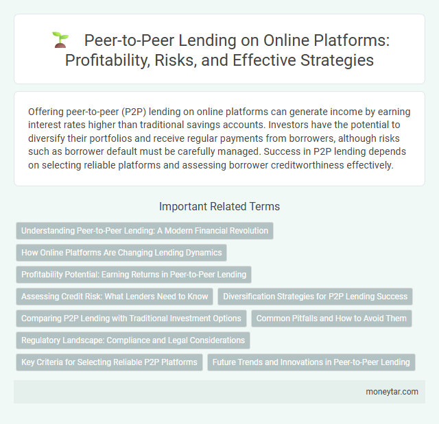 Peer-to-Peer Lending on Online Platforms: Profitability, Risks, and Effective Strategies