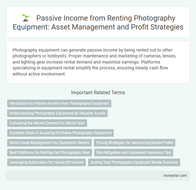 Passive Income from Renting Photography Equipment: Asset Management and Profit Strategies
