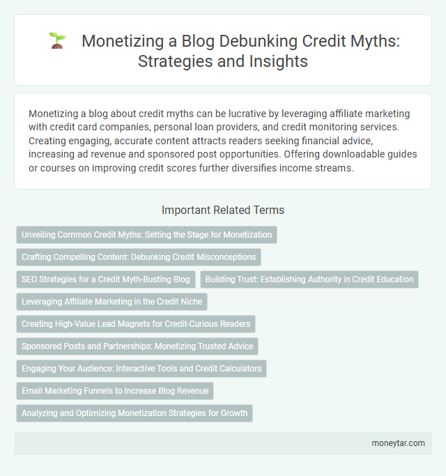 Monetizing a Blog Debunking Credit Myths: Strategies and Insights