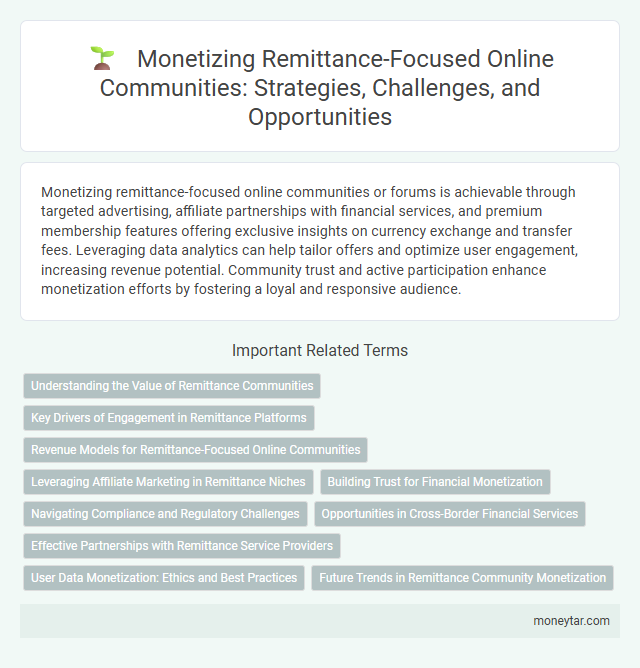 Monetizing Remittance-Focused Online Communities: Strategies, Challenges, and Opportunities