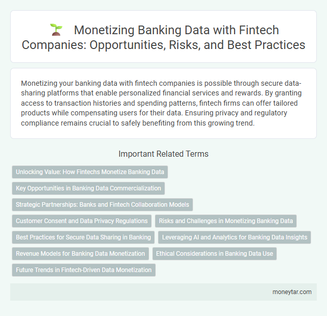 Monetizing Banking Data with Fintech Companies: Opportunities, Risks, and Best Practices