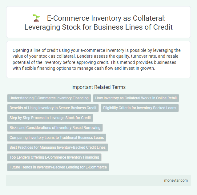E-Commerce Inventory as Collateral: Leveraging Stock for Business Lines of Credit