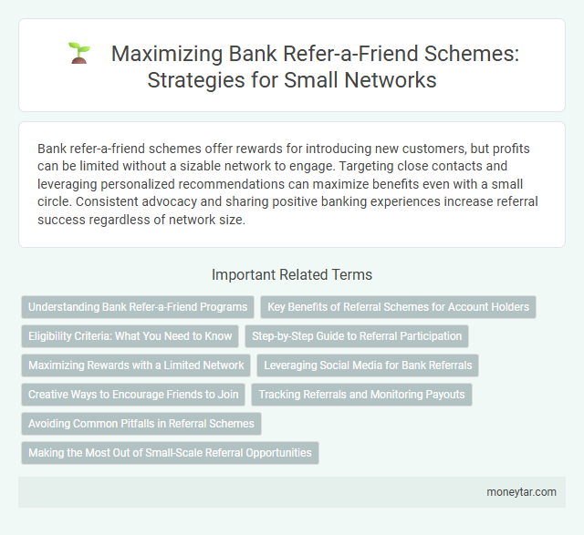 Maximizing Bank Refer-a-Friend Schemes: Strategies for Small Networks