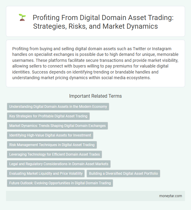 Profiting From Digital Domain Asset Trading: Strategies, Risks, and Market Dynamics